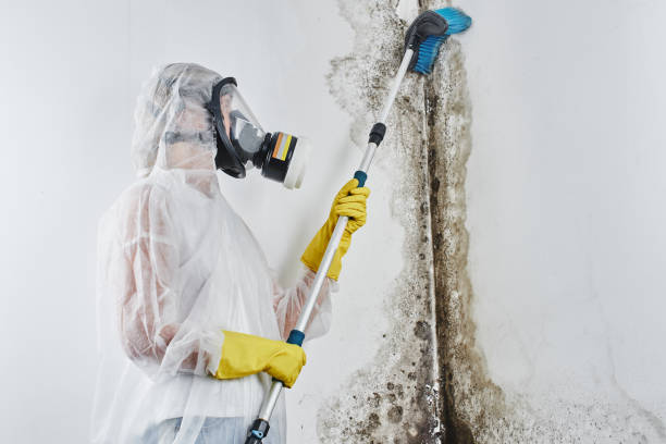 Best Mold Testing  in Fitzgerald, GA