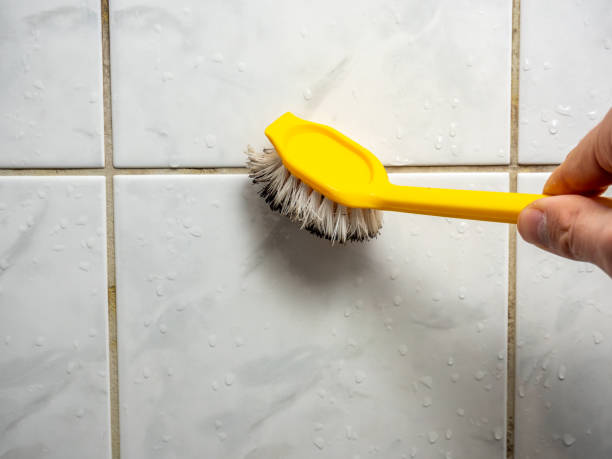 Best Emergency Mold Removal  in Fitzgerald, GA