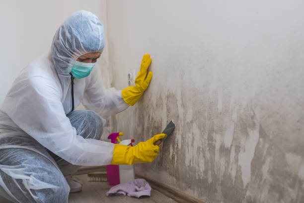Best Home Mold Removal  in Fitzgerald, GA