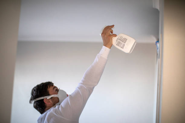 Best Office Mold Removal Services  in Fitzgerald, GA