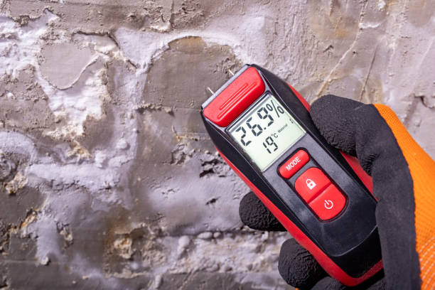 Best Attic Mold Removal  in Fitzgerald, GA