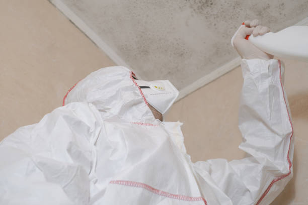 Best Residential Mold Removal  in Fitzgerald, GA