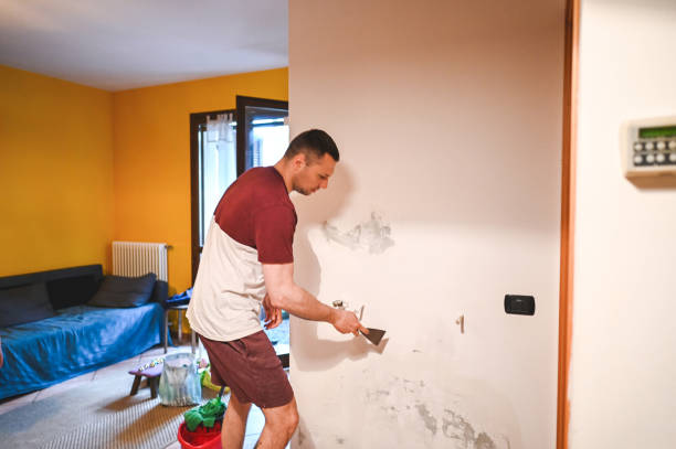 Mold Testing and Removal in Fitzgerald, GA