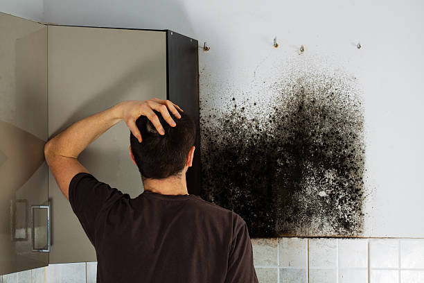 Best Affordable Mold Removal  in Fitzgerald, GA