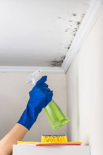 Best Water Damage Restoration  in Fitzgerald, GA